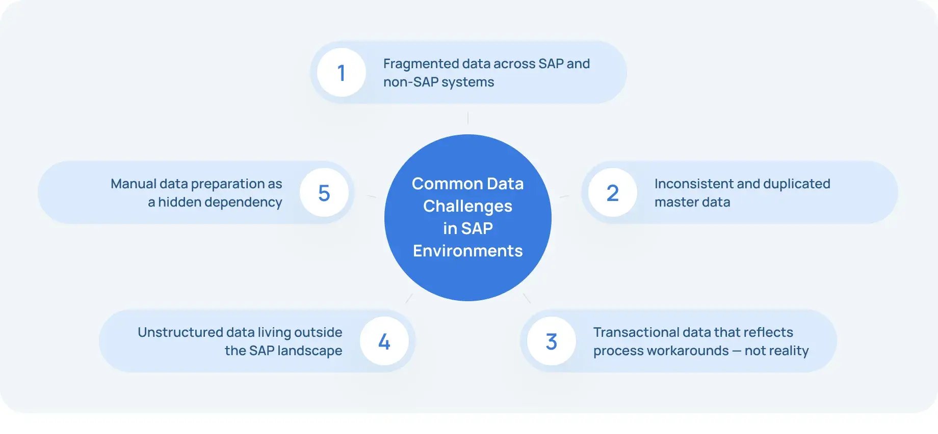 Common Data Challenges in SAP Environments-min_11zon